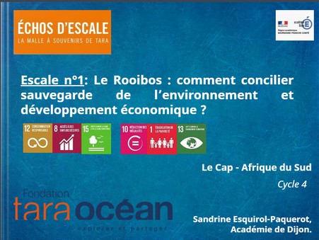 thumbnail de l'article