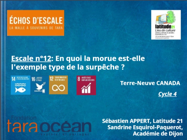 thumbnail de l'article