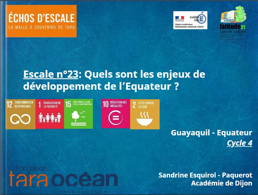 thumbnail de l'article