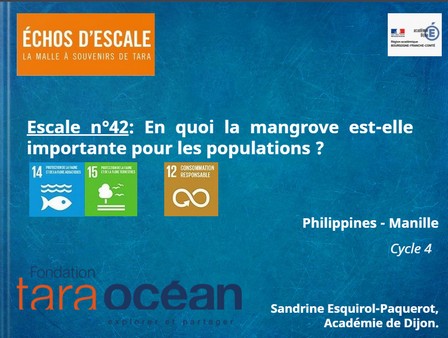 thumbnail de l'article