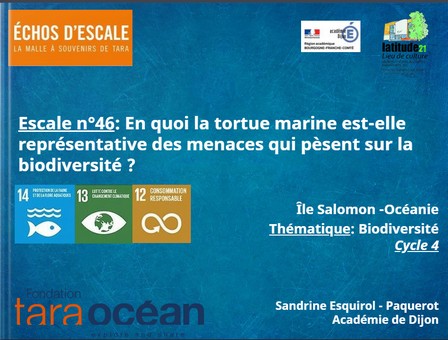 thumbnail de l'article