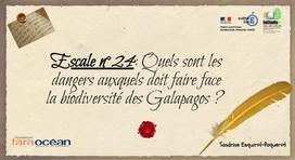 thumbnail de l'article