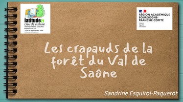 thumbnail de l'article
