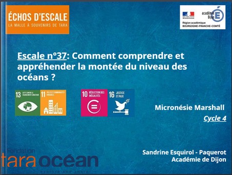 thumbnail de l'article
