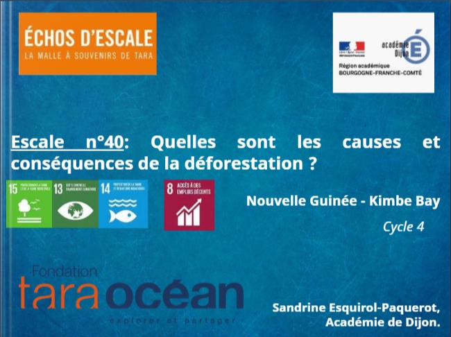 thumbnail de l'article