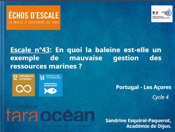 thumbnail de l'article