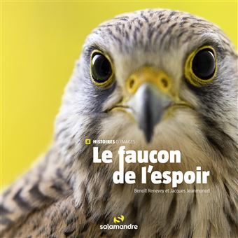 thumbnail de l'article