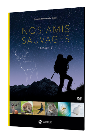 thumbnail de l'article