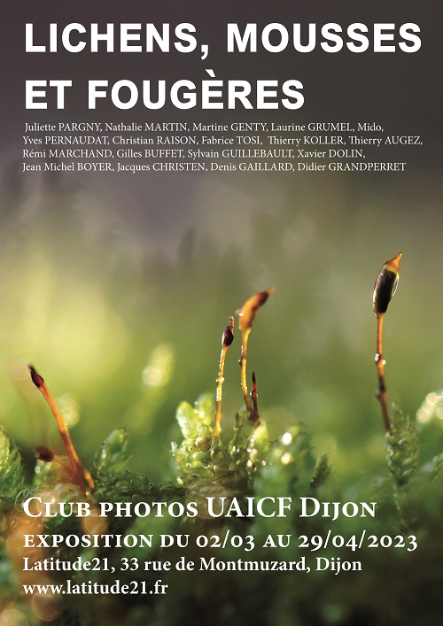 thumbnail de l'article