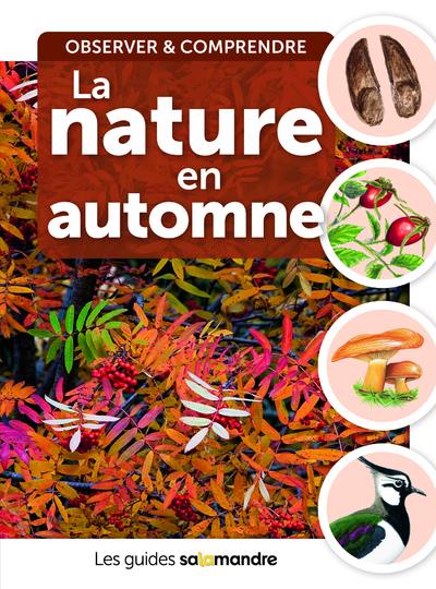 thumbnail de l'article