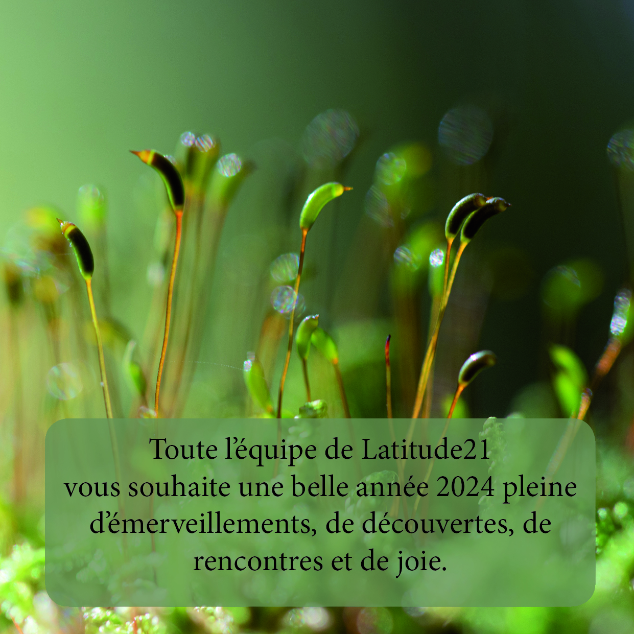 thumbnail de l'article