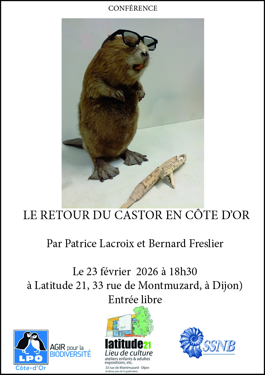 thumbnail de l'article