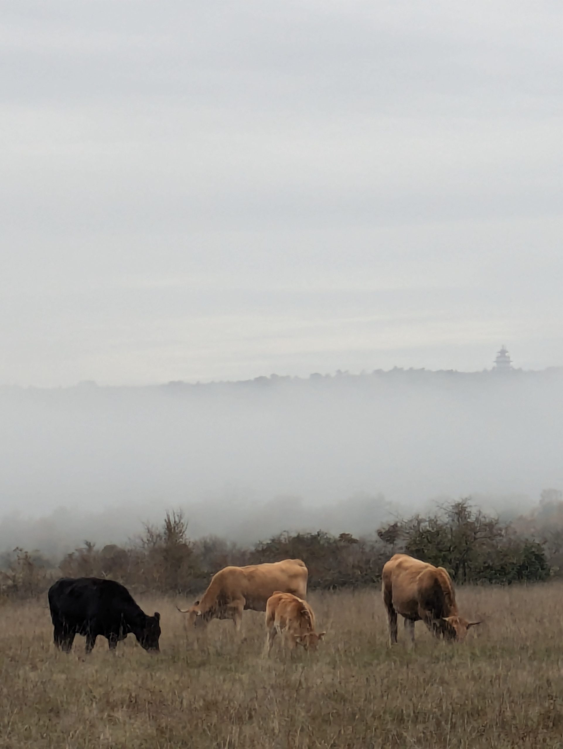 thumbnail de l'article