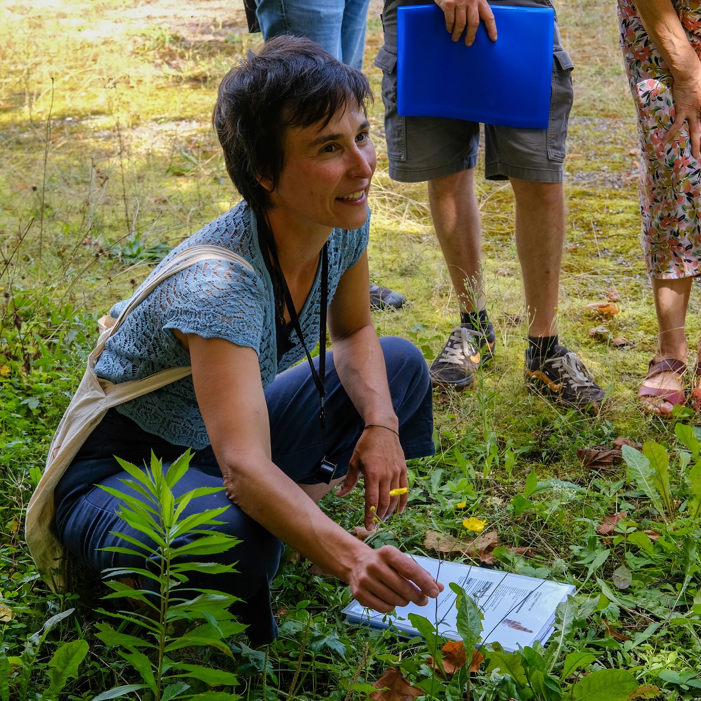 thumbnail de l'article