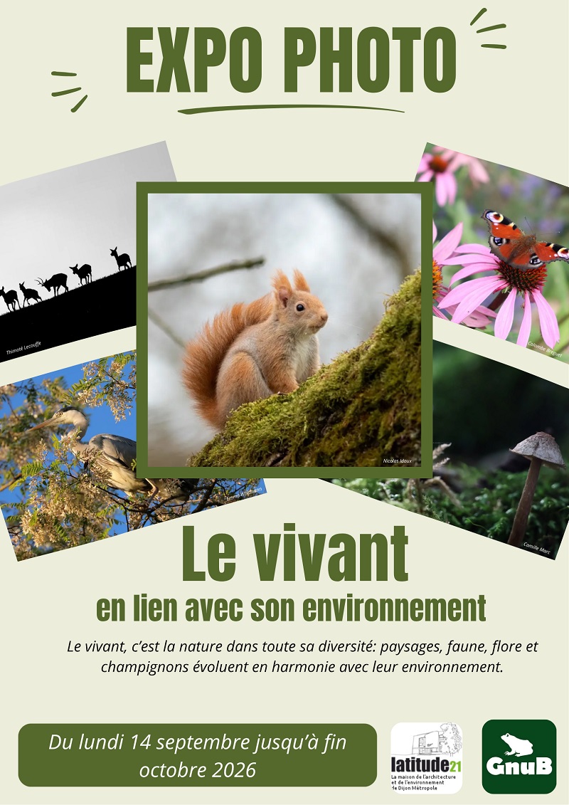 thumbnail de l'article